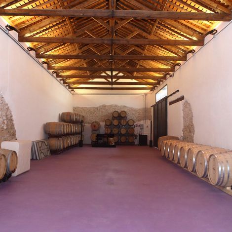 Bodegas y Viñedos Peral