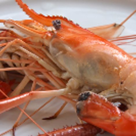 prawn whl c-896.jpg