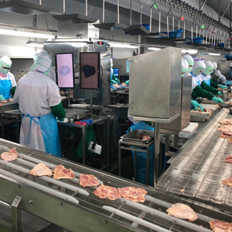 Kaona Pourtry Co., Ltd. - Facility