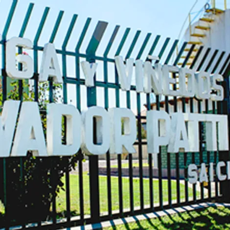 Salvador Patti Bodega y Viñedos