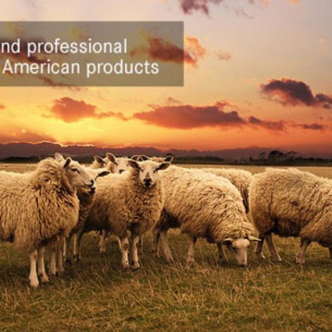 Phixon Trade Company - Livestock