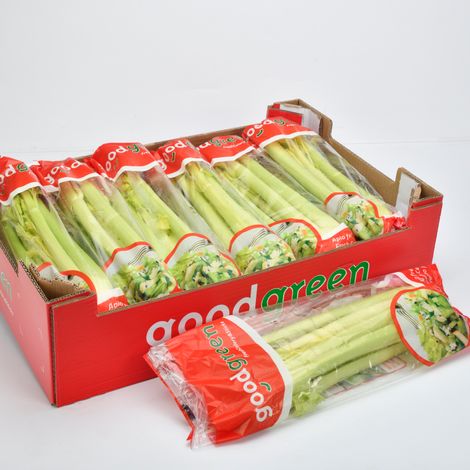 [Hortofortini]_[Celery Sticks]_[C14]