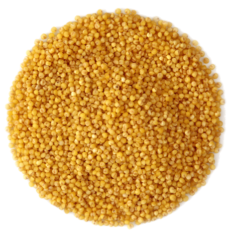 McGeary Grain, Inc