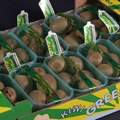 KiwiGreenSun_Kiwi_Hayward