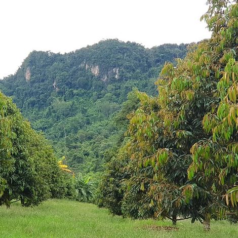 Well Preserve Area