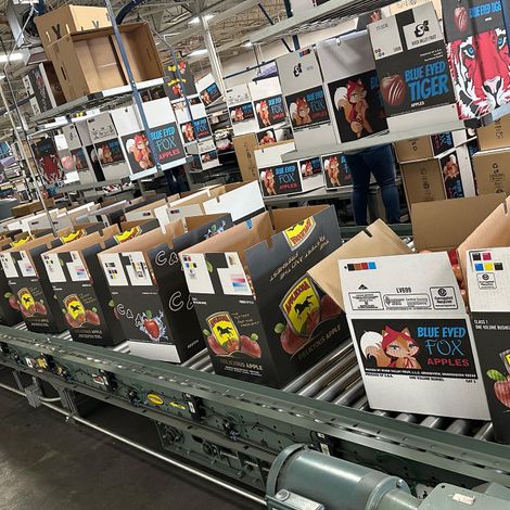 Fresh Pack Okanagan Fruit Ltd. - Facility