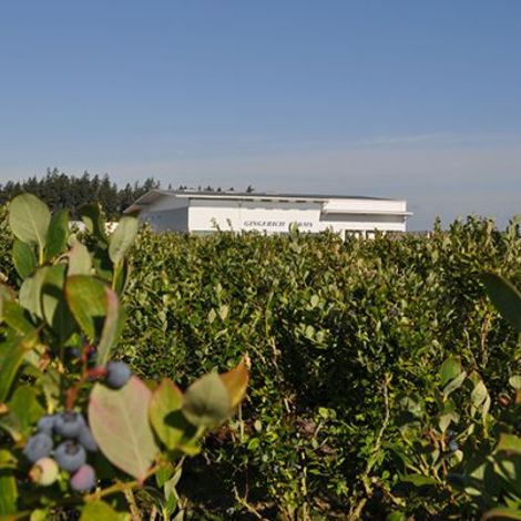Gingerich Farms Products, Inc.
