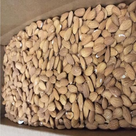 EIE_Almond_NPX_Box