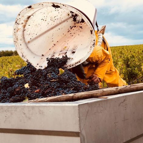 Château Charmail_Wine_Vineyard