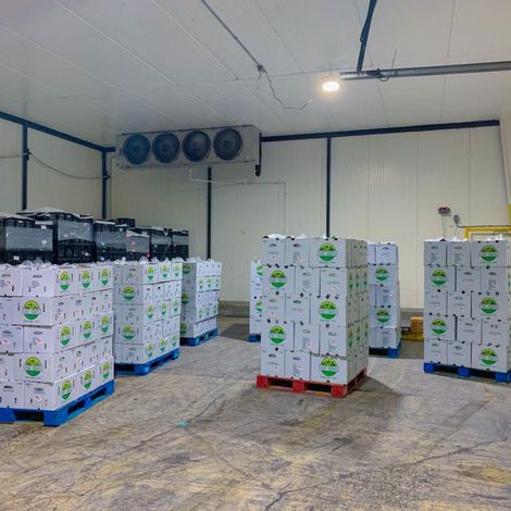 C & B Farms, Inc. - Storage