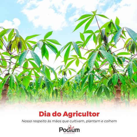 Cassava