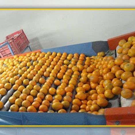 Supreme Kinno Factory