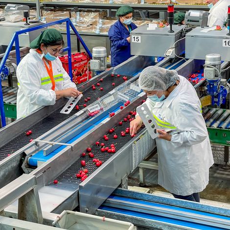 Exportadora Prize LTDA - Facility