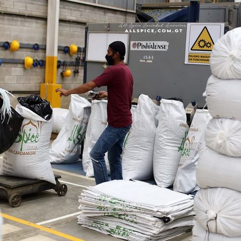 All Spice - Cardomino S.A.