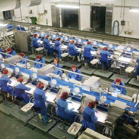 NORWAY SEAFOODS AS - Facility