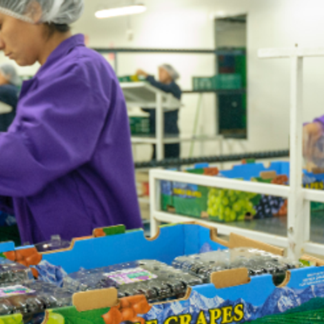 Fundo Sacramento S.A.C.