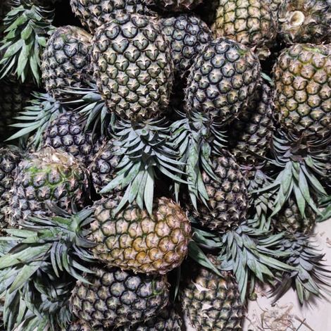 Succulent pineapples after harvest at one of our farms.