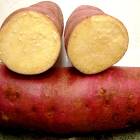 Fresh Sweet Potato