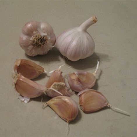 Fraser's Garlic Farm, LLC