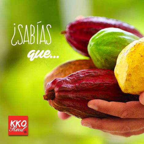 Processor Cacao Real, C.A.