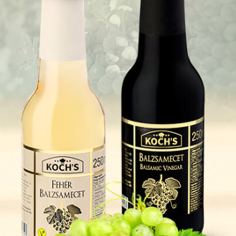 Koch’s Torma Ltd. Co.