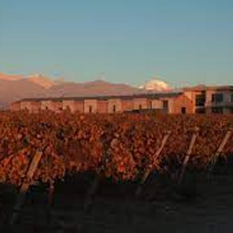 Bodega Jean Bousquet