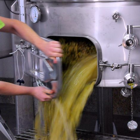 Quinta das Marias_Wine_Processing