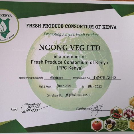 NgongVEG_French Beans
