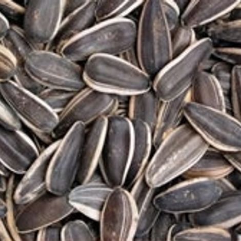 thumbs_sunflower-seeds.jpg