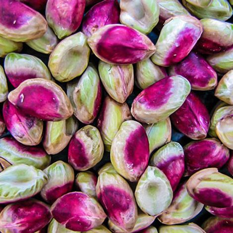 Desert Green Nuts - Persian Gulf Trad Dawn Development