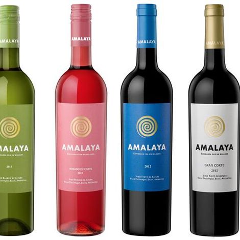 Bodega Amalaya