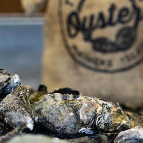 Tematuku Oysters Limited
