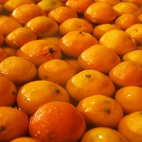 Denau Fruit - Oranges