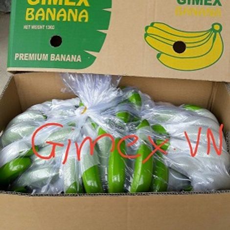 BANANA FARM AND PACKING OPERATIONS