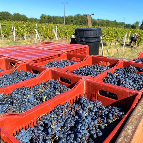 Château Vieux Mougnac