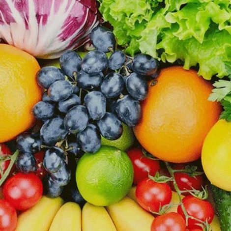 FreshStart Trading - Fresh Fruits