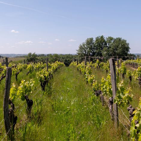 Château Claud Bellevue
