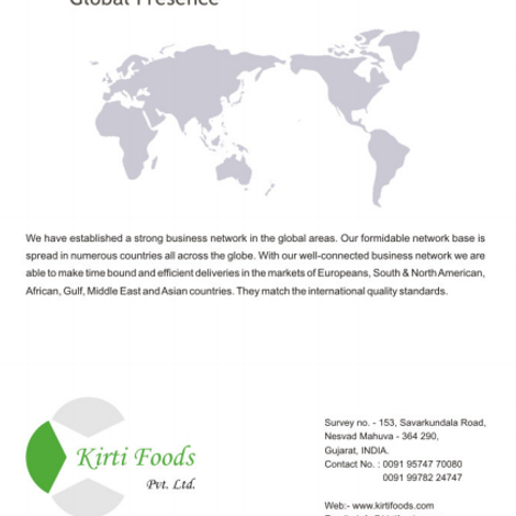 Company Brochure - Global Presence