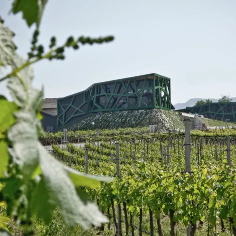 Cantina Tramin