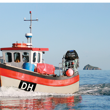 The Blue Sea Food Company
