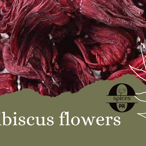 Hibiscus (Hibiscus sabdariffa)