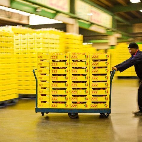 ZZ2 Farming - Packaged Products