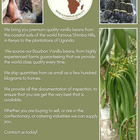 Vanilla Africa