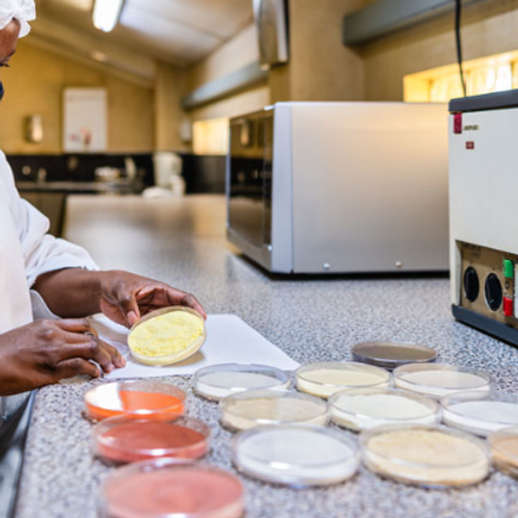 Sunspray Food Ingredients (Pty) Ltd