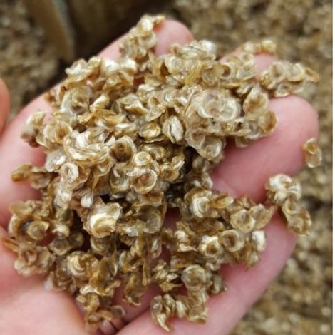 Screenshot 2023-03-30 124434.jpg