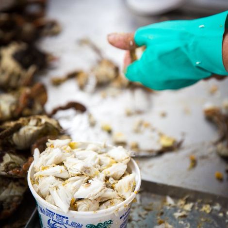 Russell Hall Seafood, Inc.