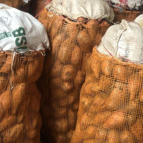 warehouse of Honey Sweet Potato