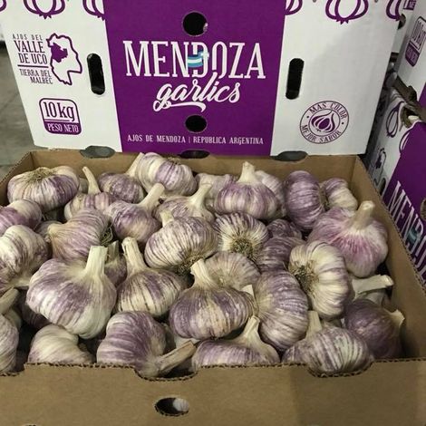 American Garlic Products S.A.