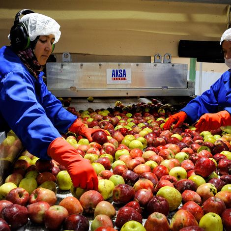 ASYA FRUIT JUICE AND FOOD IND. INC
