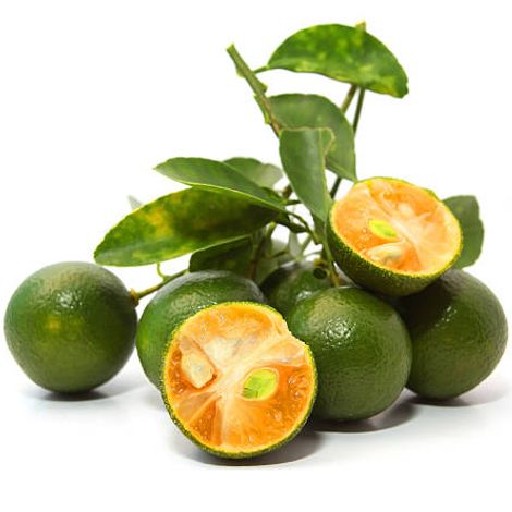 Calamansi Fruit